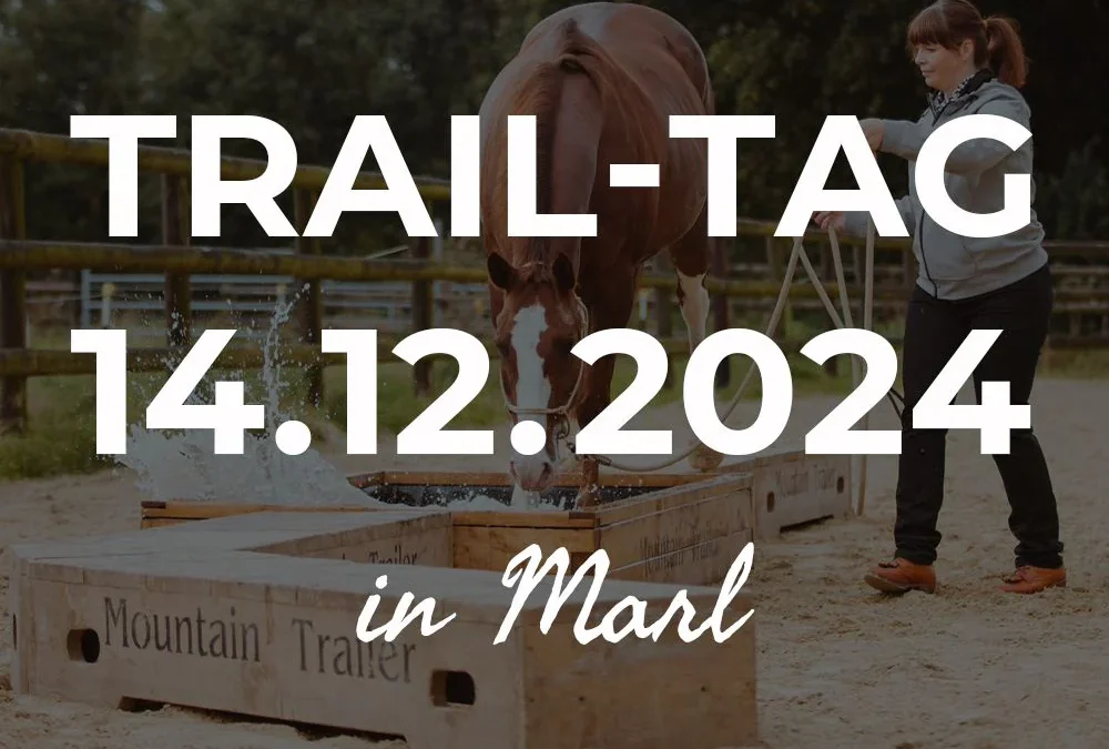 14.12.2024: Trail-Tag Weihnachtsspecial