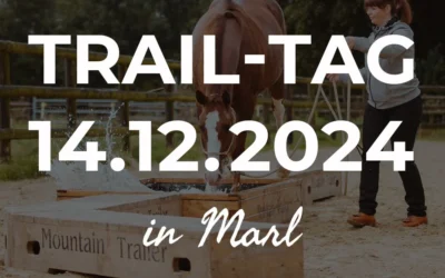 14.12.2024: Trail-Tag Weihnachtsspecial